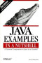 Java Examples in a Nutshell: A Tutorial Companion to Java in a Nutshell (In a Nutshell (O'Reilly))