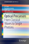 Optical Precursors: From Classical Waves to Single Photons (SpringerBriefs in Physics)