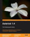 Asterisk 1.4  the Professionals Guide