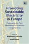 Promoting Sustainable Electricity in Europe: Challenging the Path Dependence of Dominant Energy Systems