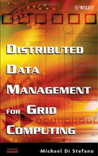 Distributed Data Management in Grid Environments