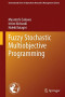 Fuzzy Stochastic Multiobjective Programming (International Series in Operations Research &amp; Management Science)