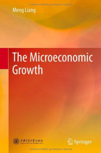 The Microeconomic Growth