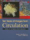 Ten Years of Images from Circulation
