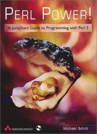 Perl Power!: A JumpStart Guide to Programming with Perl 5