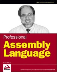 Professional Assembly Language (Programmer to Programmer)