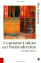 Consumer Culture and Postmodernism (Published in association with Theory, Culture & Society)