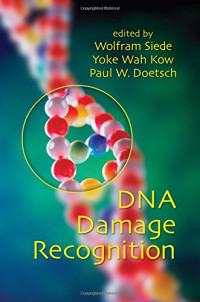 DNA Damage Recognition