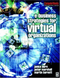 e-Business Strategies for Virtual Organizations (Computer Weekly Professional)