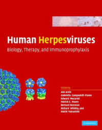 Human Herpesviruses: Biology, Therapy, and Immunoprophylaxis