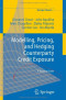 Modelling, Pricing, and Hedging Counterparty Credit Exposure: A Technical Guide (Springer Finance)