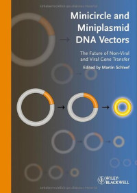 Minicircle and Miniplasmid DNA Vectors: The Future of Non-viral and Viral Gene Transfer
