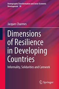 Dimensions of Resilience in Developing Countries: Informality, Solidarities and Carework (Demographic Transformation and Socio-Economic Development (10))