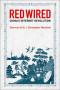 Red Wired: China's Internet Revolution