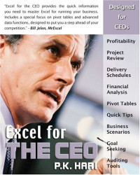 Excel for the CEO (Excel for Professionals series)