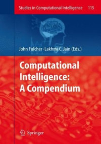Computational Intelligence: A Compendium (Studies in Computational Intelligence)