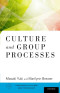 Culture and Group Processes (Frontiers of Culture and Psychology)