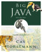 Big Java: Compatible with Java 5, 6 and 7