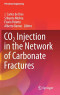 CO2 Injection in the Network of Carbonate Fractures (Petroleum Engineering)