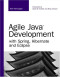 Agile Java Development with Spring, Hibernate and Eclipse (Developer's Library)