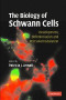 The Biology of Schwann Cells: Development, Differentiation and Immunomodulation