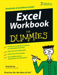 Excel Workbook For Dummies (Computer/Tech)
