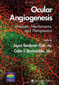 Ocular Angiogenesis: Diseases, Mechanisms, and Therapeutics (Ophthalmology Research)