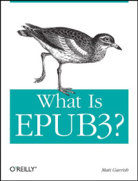 What is EPUB 3