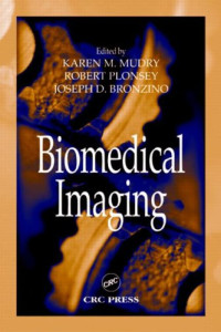 Biomedical Imaging (Principles and Applications in Engineering, 10)