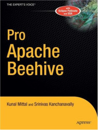 Pro Apache Beehive (Expert's Voice in Java)