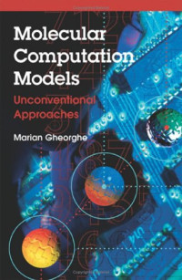 Molecular Computation Models: Unconventional Approaches
