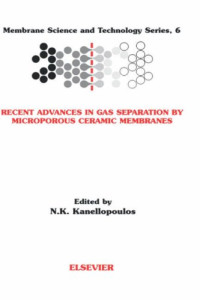 Recent Advances in Gas Separation by Microporous Ceramic Membranes (Membrane Science and Technology)
