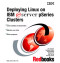 Deploying Linux on IBM  Pseries Clusters (IBM Redbooks)