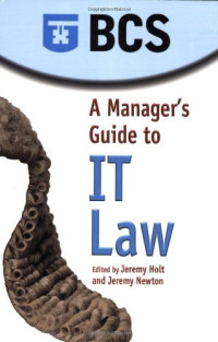 A Manager's Guide to IT Law