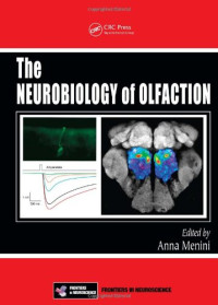 The Neurobiology of Olfaction (Frontiers in Neuroscience)