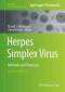 Herpes Simplex Virus: Methods and Protocols (Methods in Molecular Biology)