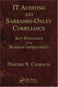 IT Auditing and Sarbanes-Oxley Compliance: Key Strategies for Business Improvement