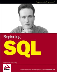 Beginning SQL (Programmer to Programmer)