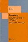Quantum: The Quantum Theory of Particles, Fields and Cosmology (Theoretical and Mathematical Physics)