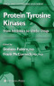 Protein Tyrosine Kinases: From Inhibitors to Useful Drugs (Cancer Drug Discovery and Development)
