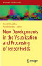 New Developments in the Visualization and Processing of Tensor Fields (Mathematics and Visualization)