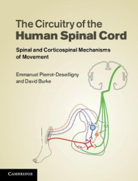 The Circuitry of the Human Spinal Cord: Spinal and Corticospinal Mechanisms of Movement