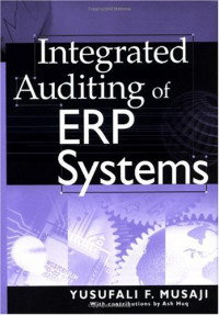Integrated Auditing of ERP Systems