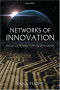 Networks of Innovation : Change and Meaning in the Age of the Internet
