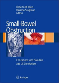 Small-Bowel Obstruction: CT Features with Plain Film and US correlations