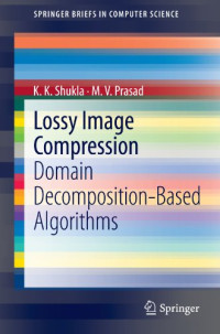 Lossy Image Compression: Domain Decomposition-Based Algorithms (SpringerBriefs in Computer Science)