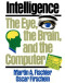 Intelligence: The Eye, the Brain, and the Computer