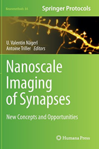 Nanoscale Imaging of Synapses: New Concepts and Opportunities (Neuromethods)