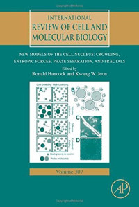 New Models of the Cell Nucleus: Crowding, Entropic Forces, Phase Separation, and Fractals, Volume 307