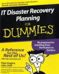 IT Disaster Recovery Planning For Dummies (Computer/Tech)